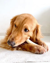 Load image into Gallery viewer, JR Beef Tails long lasting chew