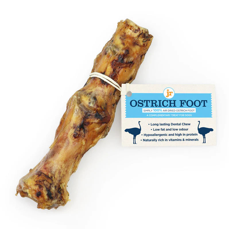Super Long Lasting - Ostrich Foot - JR Pet