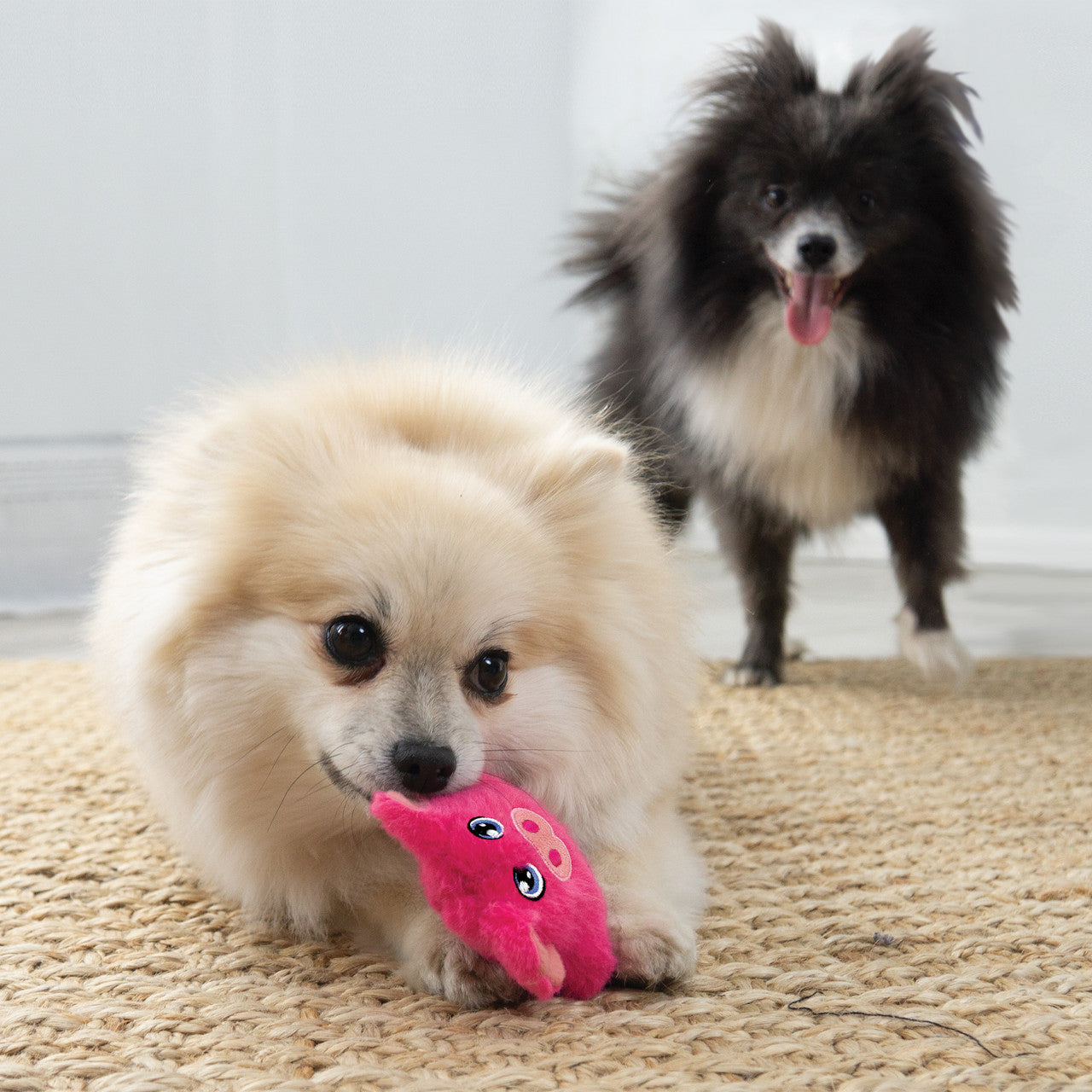 KONG Snuzzles Mini Pig