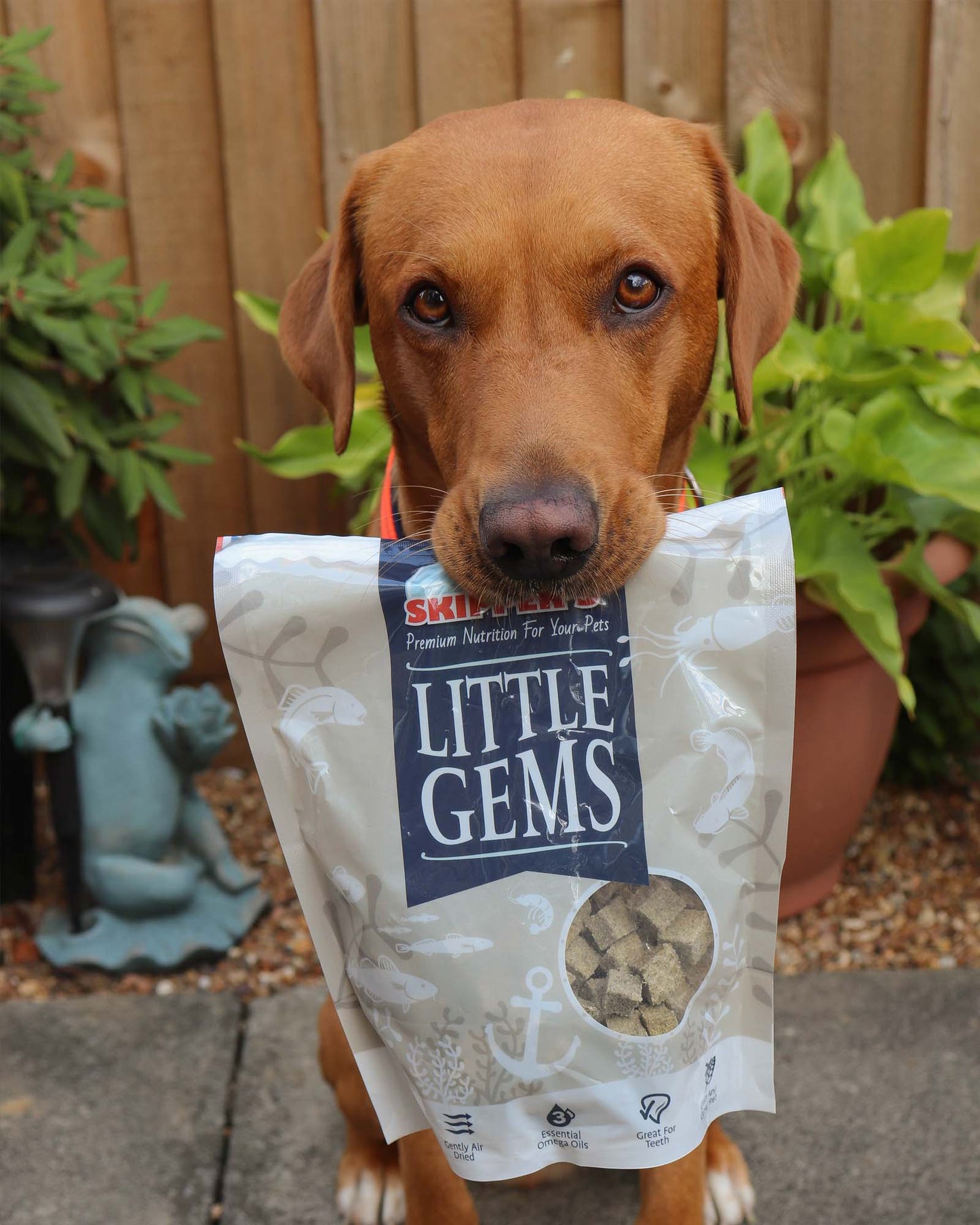 Natural Little Gems Fish Treats - Hypoallergic - Fisher's
