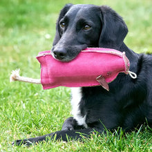 Load image into Gallery viewer, Green & Wilds Peggy Pig Eco Toy