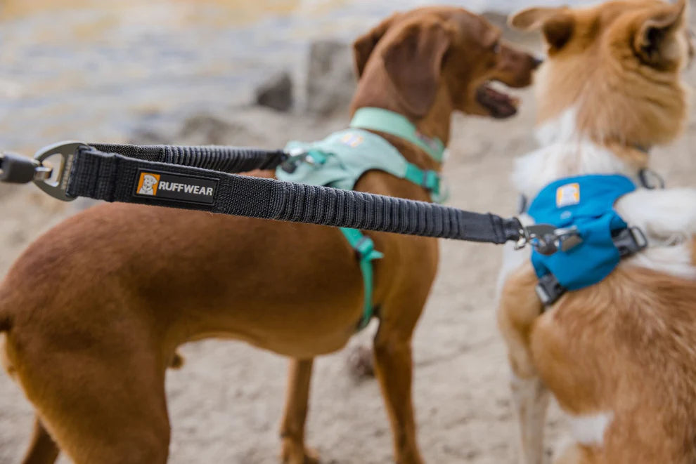 Ruffwear coupler outlet