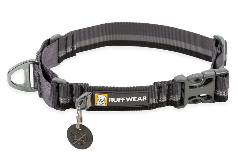 Ruffwear Web Reaction Martingale Dog Collar With Buckle