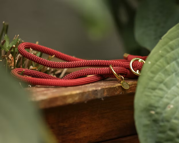 Handmade Slip Leads | Brass Fittings | Soft Rope