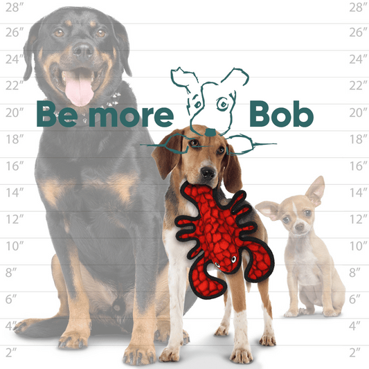 Ocean Creatures Lobster Strong Dog Toy | Tuffy