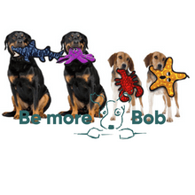 Load image into Gallery viewer, Tuffy Ocean Creature Starfish