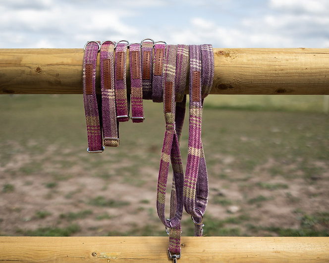 Pink Check Dog Collars & Leads
