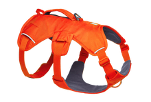 Load image into Gallery viewer, Ruffwear Web Master dog harness with handle (step in harness)