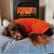 Load image into Gallery viewer, Dogrobe - Orange