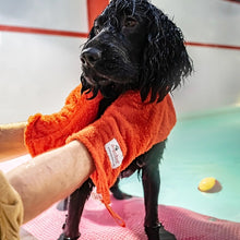Load image into Gallery viewer, Dogrobe Gauntlets Orange