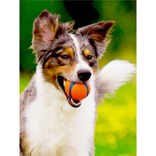 Load image into Gallery viewer, Chuckit! Ultra Ball - Small / Medium 2 pack