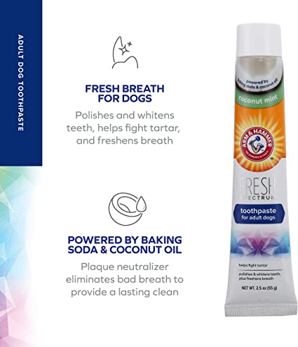 Arm & Hammer Doggie toothpaste