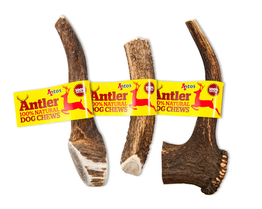 Antos Antlers