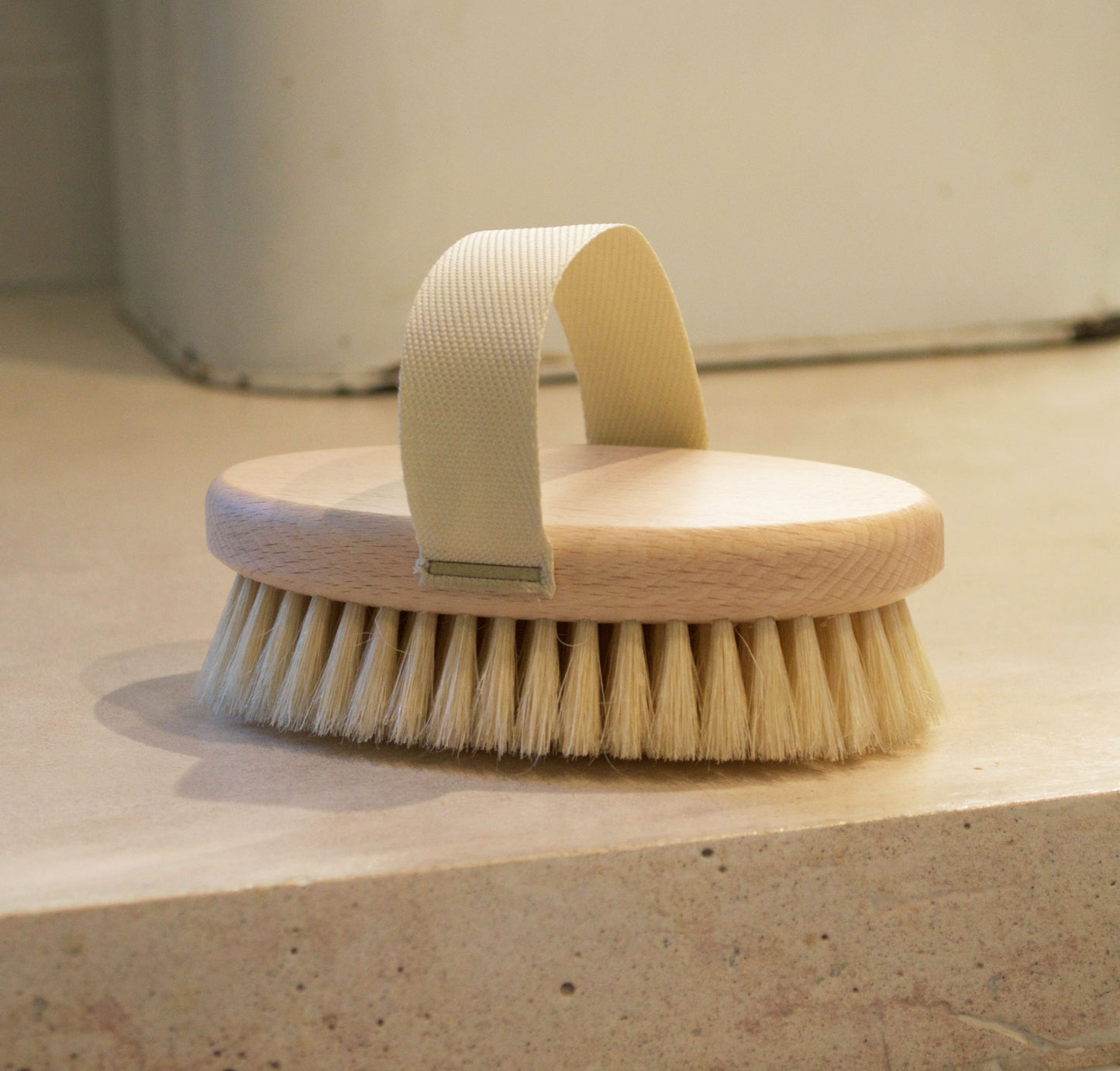 Soft Bristle Palm Dog Brush