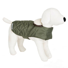 Load image into Gallery viewer, Mutts &amp; Hounds Olive Quilted Coat - LIMITED SIZES
