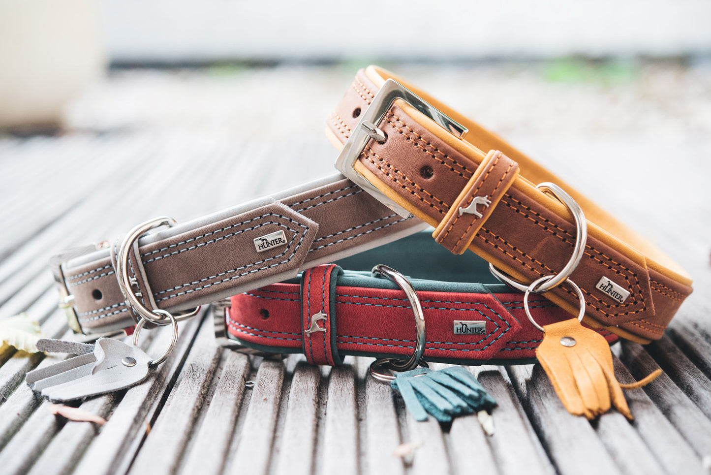 Hunter 'Lucca' Petit Leather Collar - Mustard