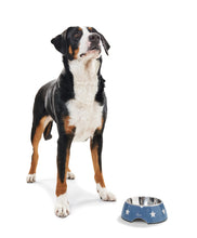 Load image into Gallery viewer, Hunter - Aarhus Star Bowl