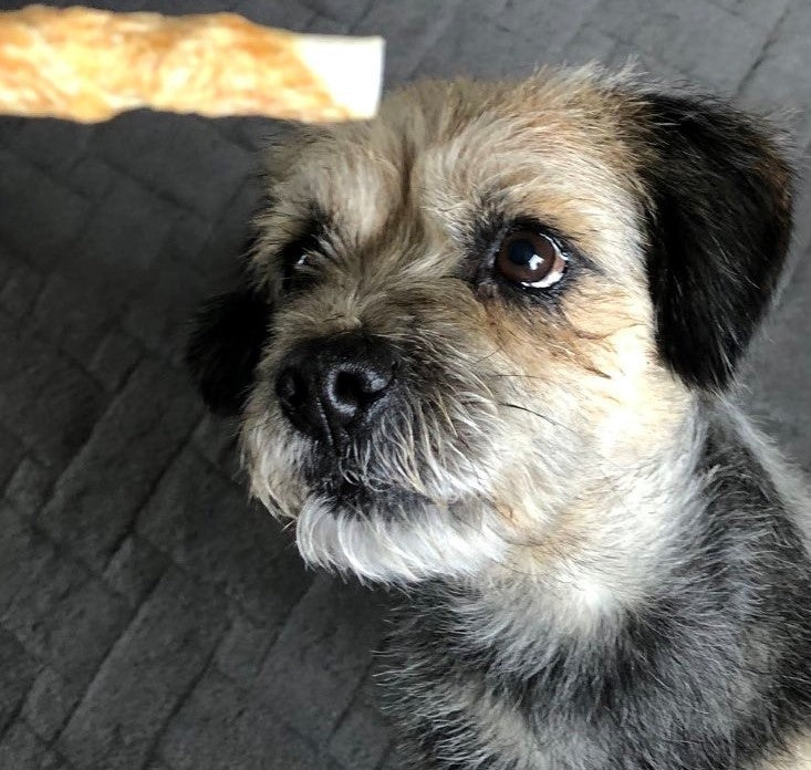 Good Boy - Chewy Twists - Chicken - 90g