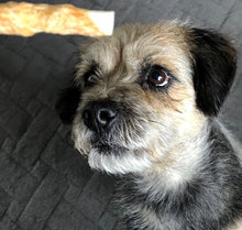 Load image into Gallery viewer, Good Boy - Chewy Twists - Chicken - 90g