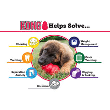 Load image into Gallery viewer, KONG Classic - XS to XXL