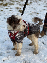 Load image into Gallery viewer, Ruffwear FERNIE Dog Sweater - Three colours