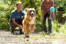 Load image into Gallery viewer, Ruffwear - Huckama Toy