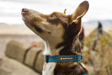 Load image into Gallery viewer, Ruffwear Hi & Light Collar - six colours, two new for 2024
