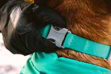 Load image into Gallery viewer, Ruffwear Waterproof Confluence Collar - Three Colours
