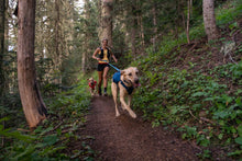 Load image into Gallery viewer, Ruffwear Switchbak Harness in Blue Moon