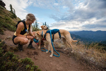 Load image into Gallery viewer, Ruffwear Switchbak Harness in Blue Moon