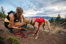 Load image into Gallery viewer, Ruffwear Switchbak Harness in Red Sumac
