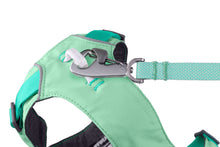 Load image into Gallery viewer, Ruffwear Flagline Harness