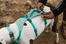 Load image into Gallery viewer, Ruffwear Flagline Harness