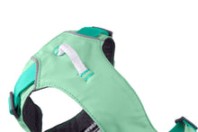 Load image into Gallery viewer, Ruffwear hi and light harness