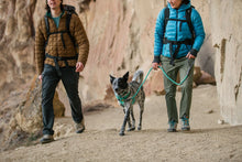 Load image into Gallery viewer, Ruffwear knot a leash dog lead