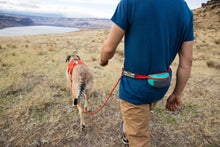 Load image into Gallery viewer, Ruffwear Hitch Hiker Lead Portable Hitch & Leash Combo