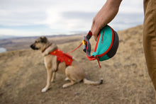 Load image into Gallery viewer, Ruffwear Hitch Hiker Lead Portable Hitch & Leash Combo