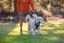 Load image into Gallery viewer, Ruffwear - Huckama Toy