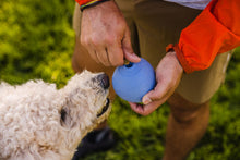 Load image into Gallery viewer, Ruffwear - Huckama Toy