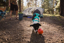Load image into Gallery viewer, Ruffwear Front Range Collar - Eight Colours