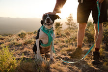 Load image into Gallery viewer, Ruffwear Front Range Lead - Eight Colours
