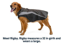 Load image into Gallery viewer, Ruffwear Lumenglow High Vis Jacket
