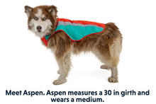 Load image into Gallery viewer, Ruffwear Lumenglow High Vis Jacket
