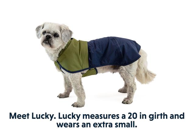 Ruffwear Sun Shower Jacket | Waterproof Dog Coat | SALE | Toy and Mini Breeds