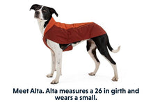 Load image into Gallery viewer, Ruffwear VERT Jacket - Aurora Teal & Canyonlands Orange - LAST TWO in XXS