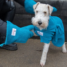 Load image into Gallery viewer, Dogrobe Gauntlets Teal
