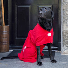 Load image into Gallery viewer, Dogrobe - Red