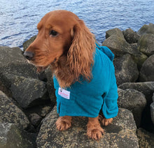 Load image into Gallery viewer, Dogrobe - Teal
