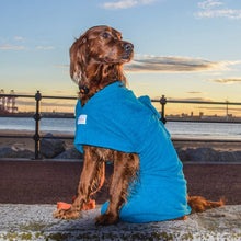 Load image into Gallery viewer, Dogrobe - Teal