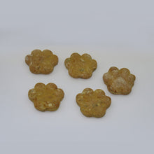 Load image into Gallery viewer, Apawtiser Hypoallergenic - Butternut Squash Paws